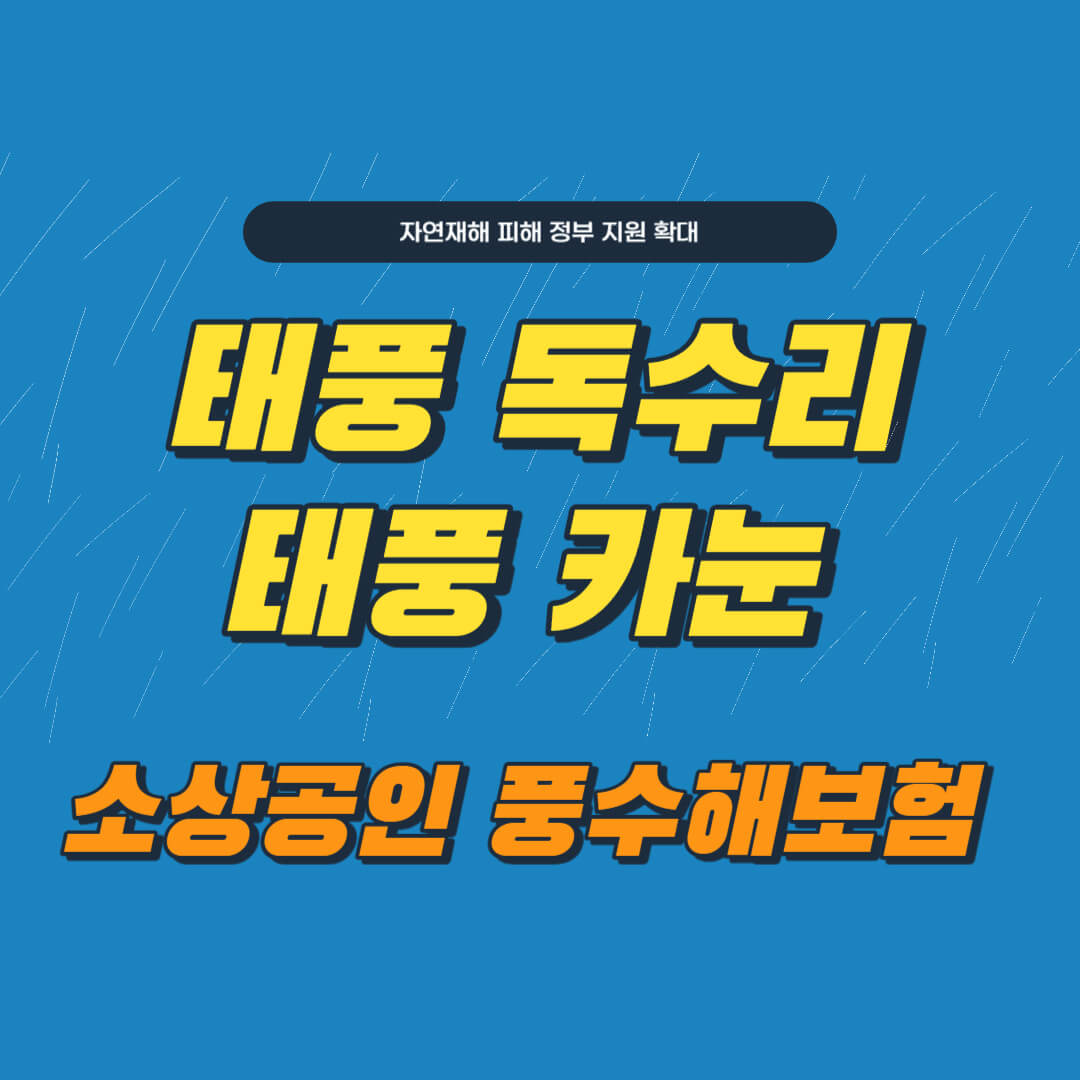 태풍 독수리 태풍 카눈 소상공인 풍수해보험 알아보기 썸네일