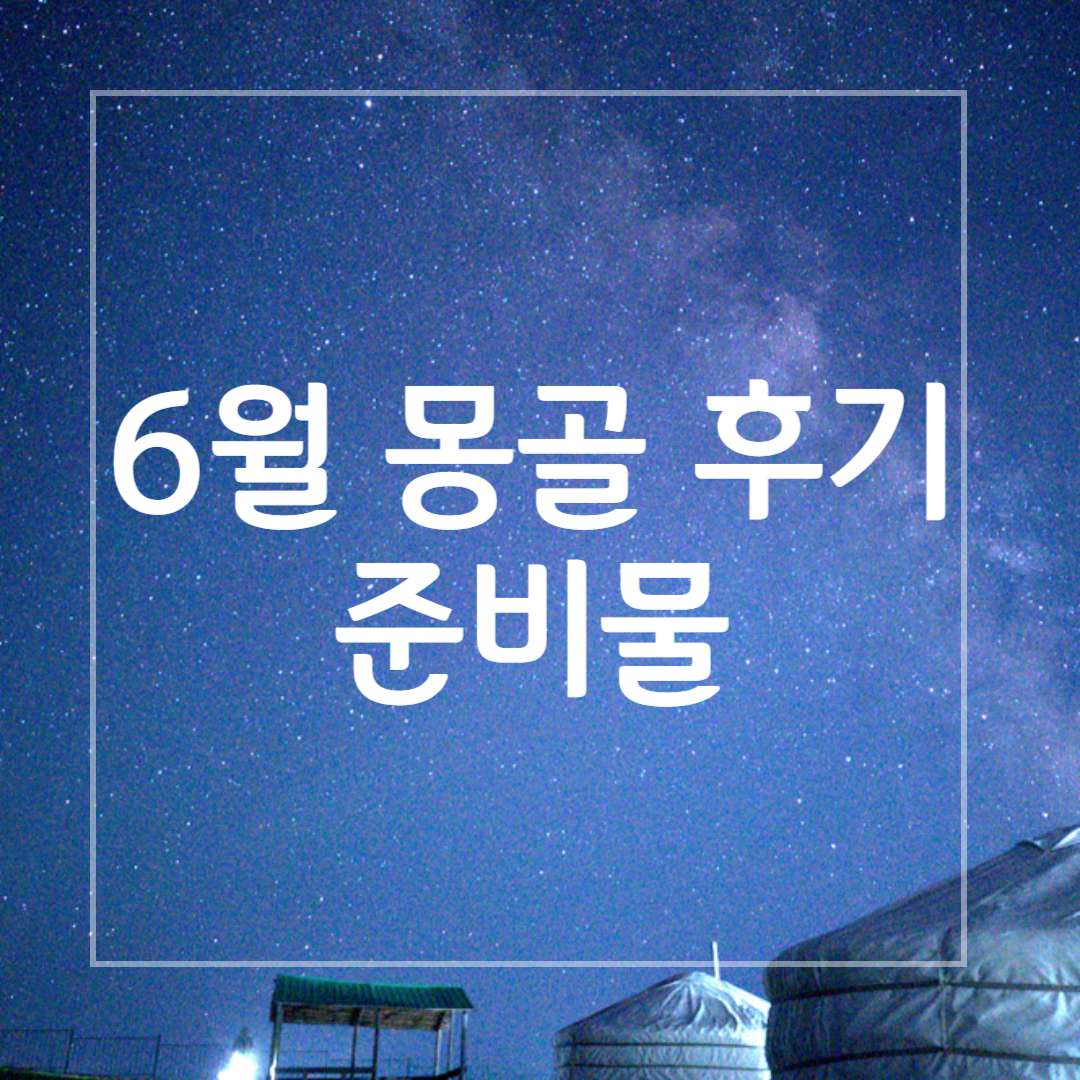 6월 몽골 준비물