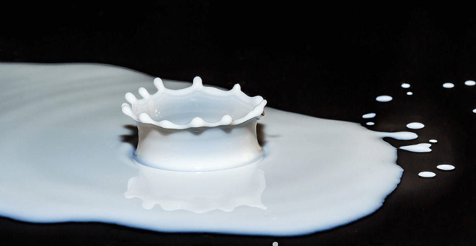 우유 사진 - 1254