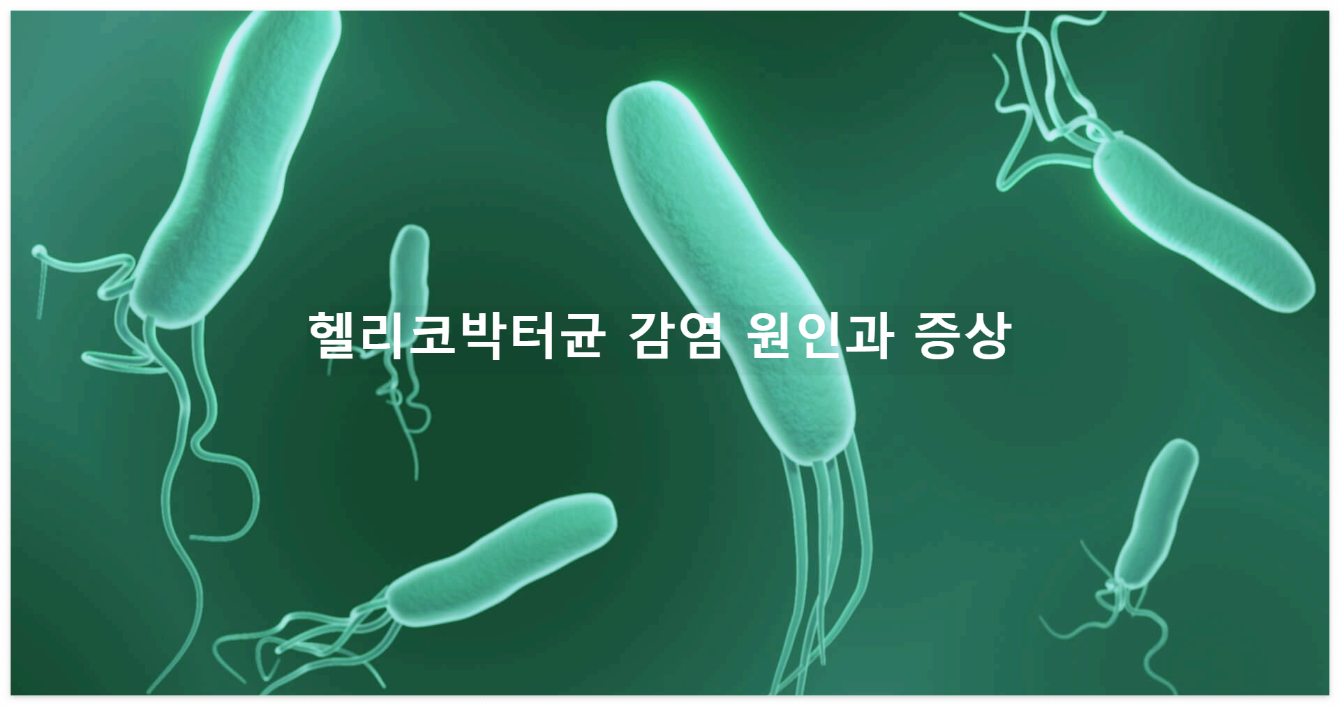 헬리코박터균 원인