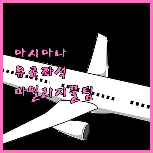아시아나항공 유료 좌석 비용과 마일리..