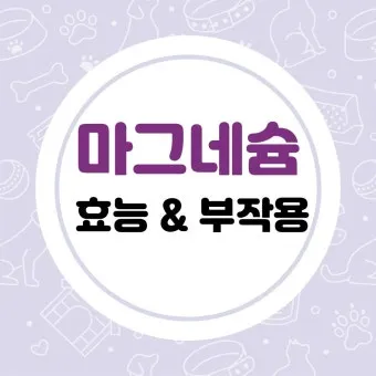 마그네슘 효능 으로_20