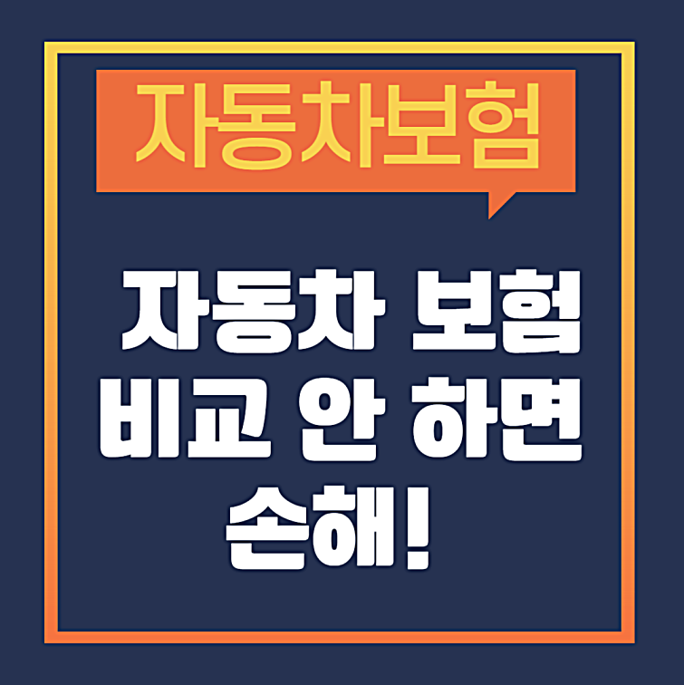 자동차 보험 비교