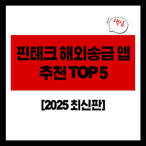 핀테크 해외송금 앱 추천 TOP 5 (토스&middot;카카오뱅크&middot;와이어바알리) [2025 최신판]