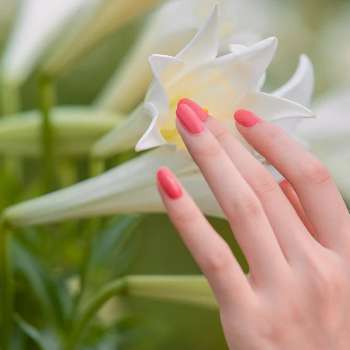 손끝 저림 원인