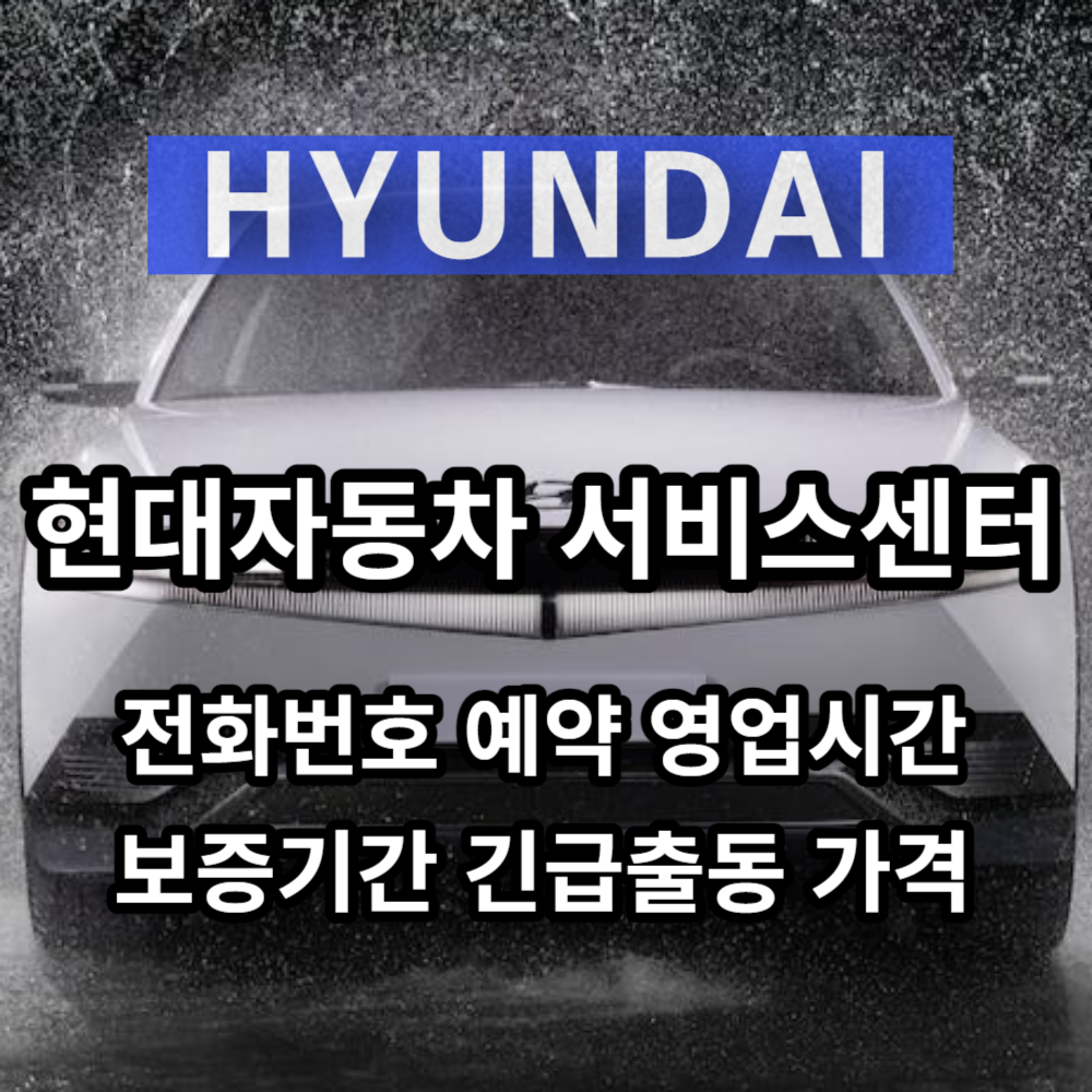 현대자동차 서비스센터 블루핸즈