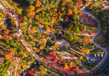 2024화담숲 가을단풍축제