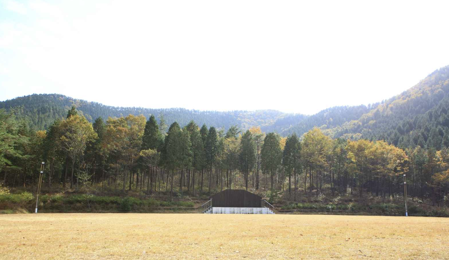 남해편백자연휴양림 전경