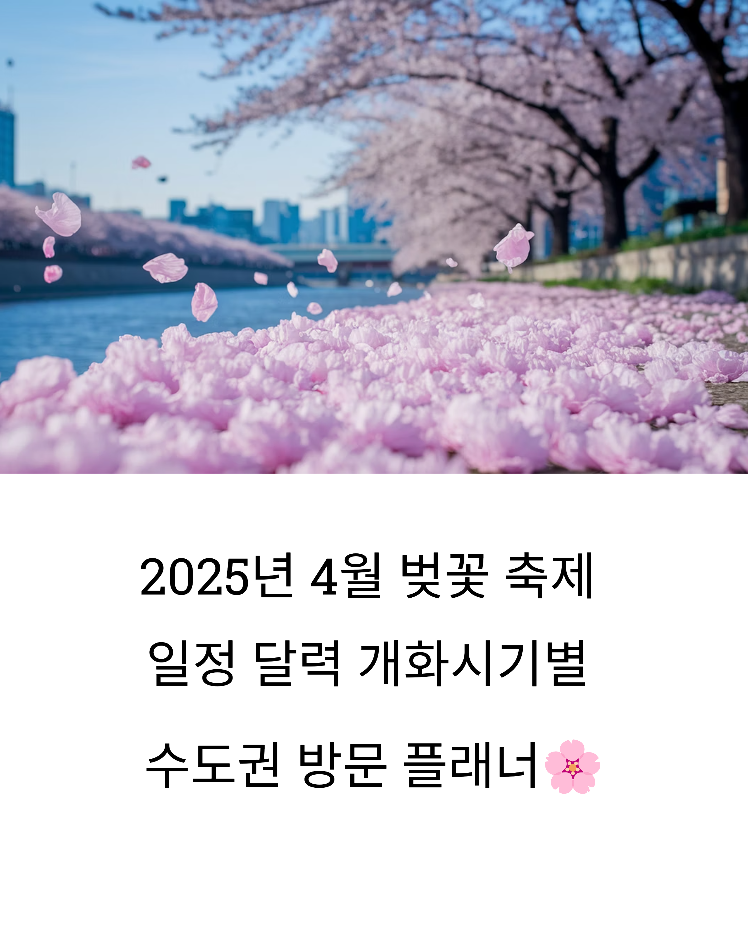 2025년 4월 벚꽃 축제 일정 달력: 개화시기별 수도권 방문 플래너