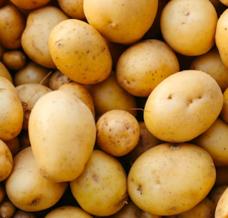 위궤양에 좋은 음식 영양제 식단