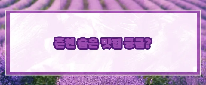 춘천 맛집 베스트10 2025 (+닭갈비추천)