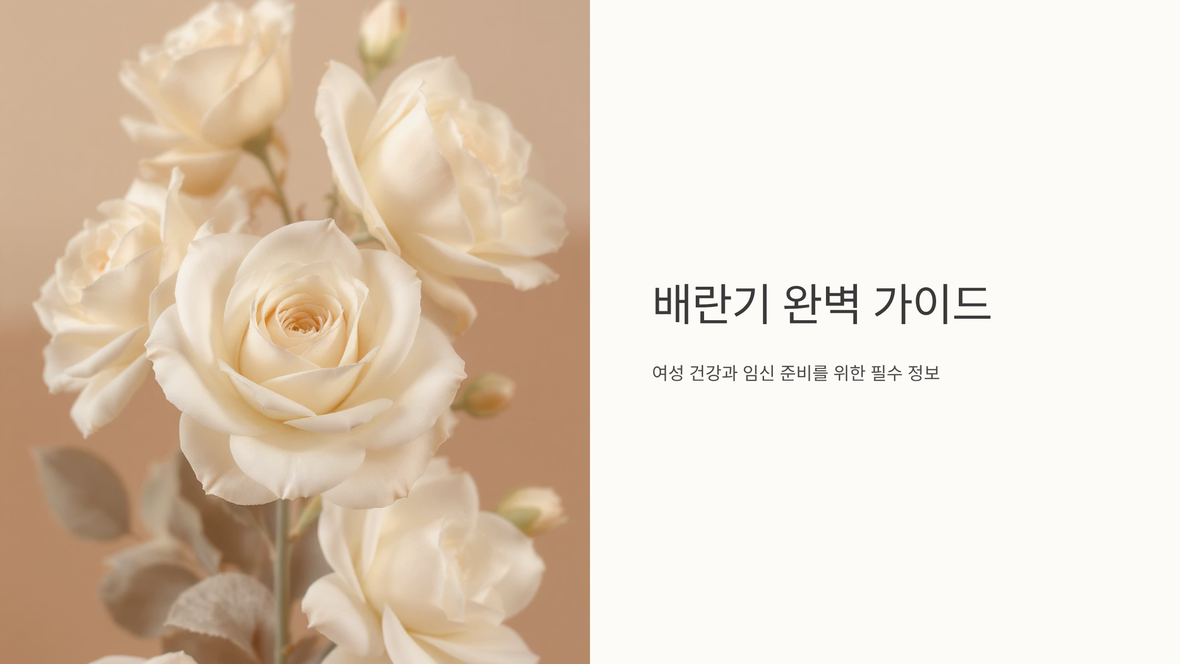 배란기 증상부터 계산법까지, 임신 확률 높이는 핵심 정리