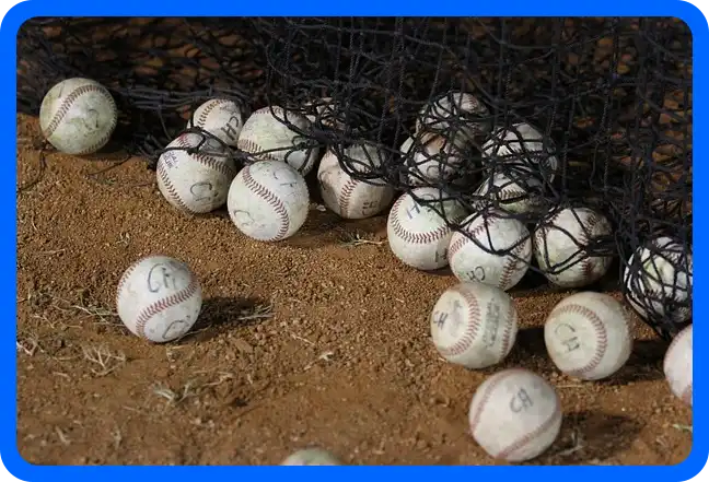 2024 WBSC 프리미어 12 일정표