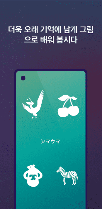 etc-image-13