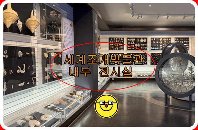 신안 자은도 여행지 1004 뮤지엄 세계조개박물관
