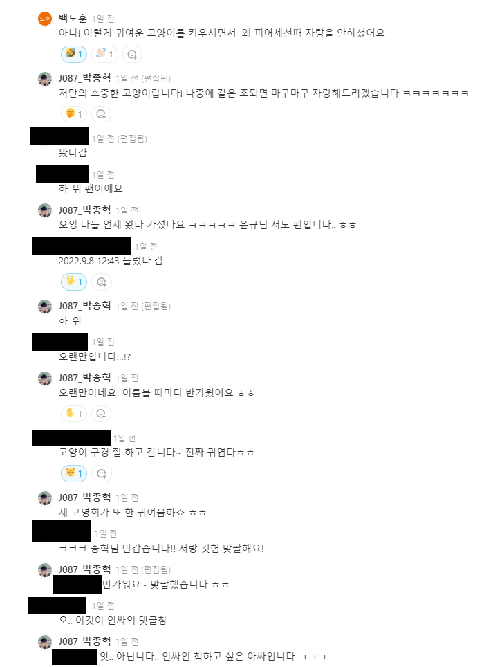 렛미인트로듀스 댓글