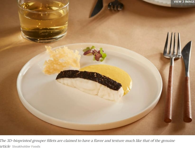 &#39;세계 최초&#39; 생선 살코기 양식 성공 &quot;World&#39;s first&quot; cultivated fish fillets served up in Israel