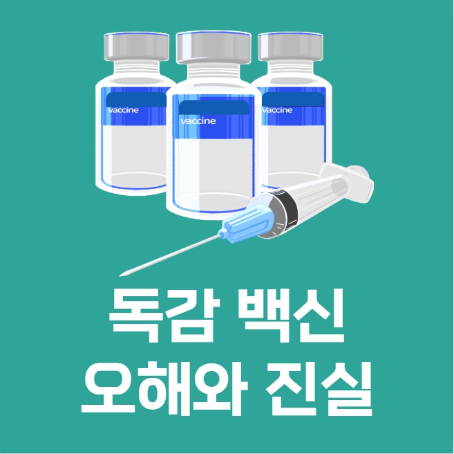 독감 백신 오해와 진실