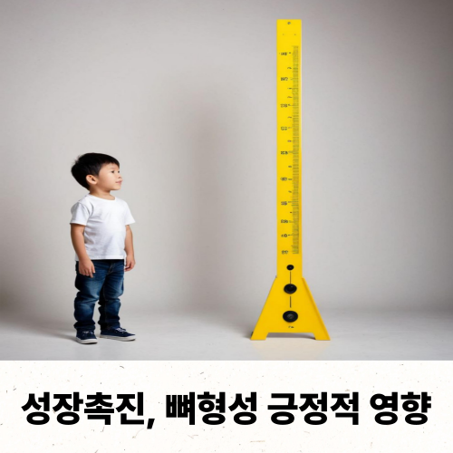 키성장 오가피