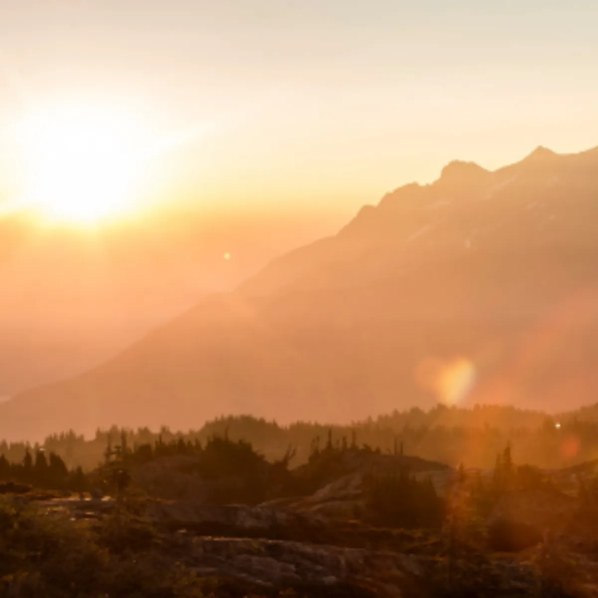 서울 새해 일출 명소