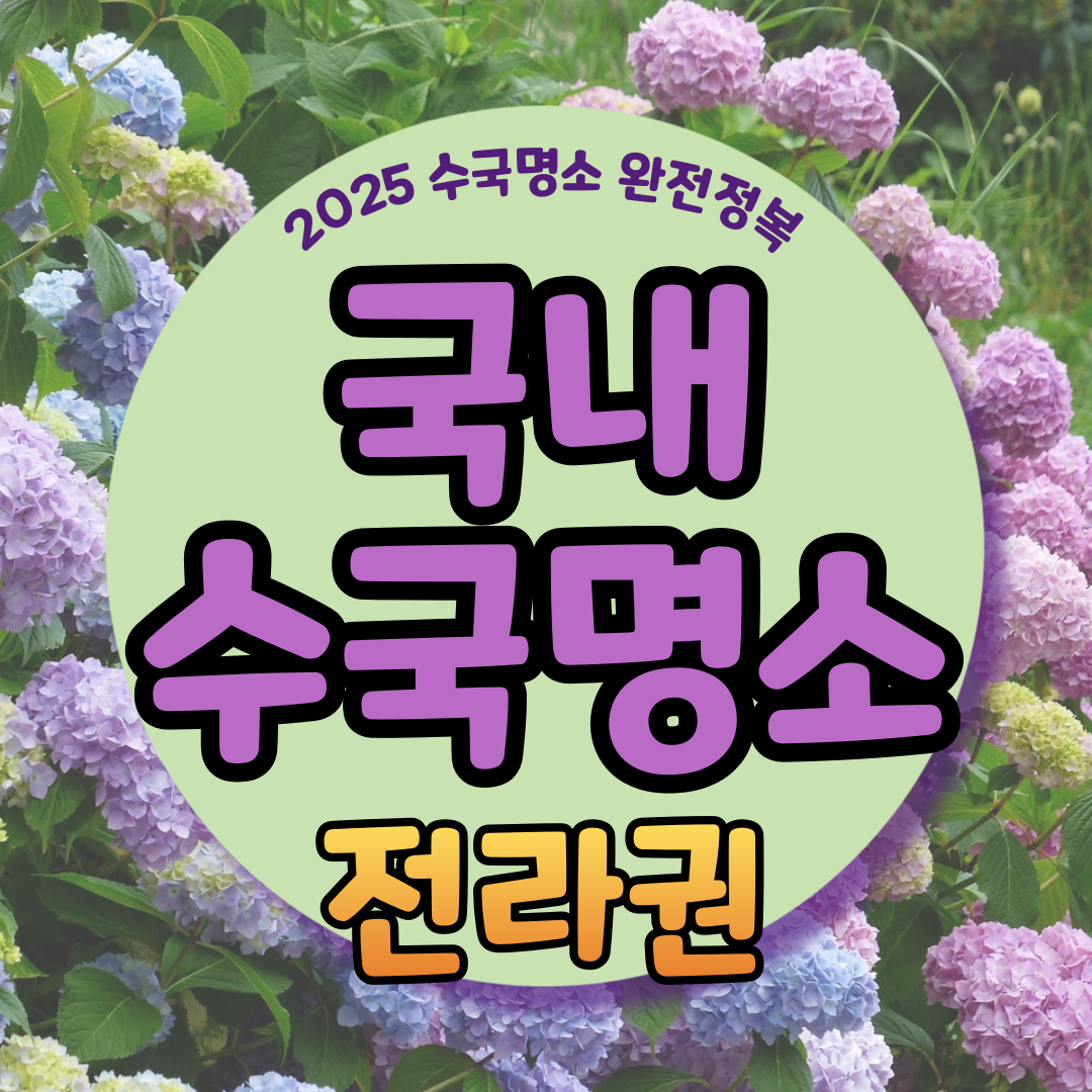 전라도 수국명소 추천 7곳, 수국이 만개한 아름다운 여름을 걷다