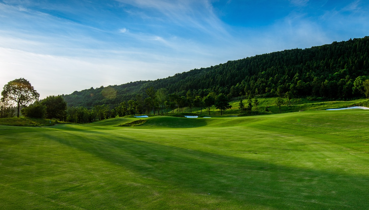 마쓰야마 골프여행 관련 사진