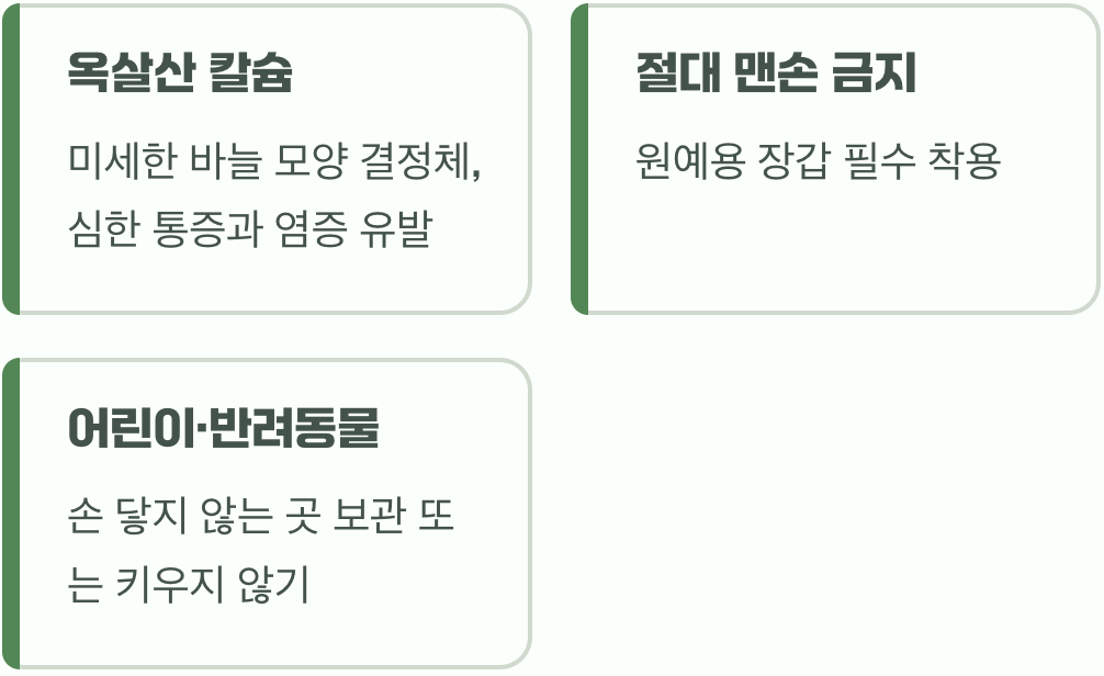 가장 중요한 약속, '독' 바로 알기