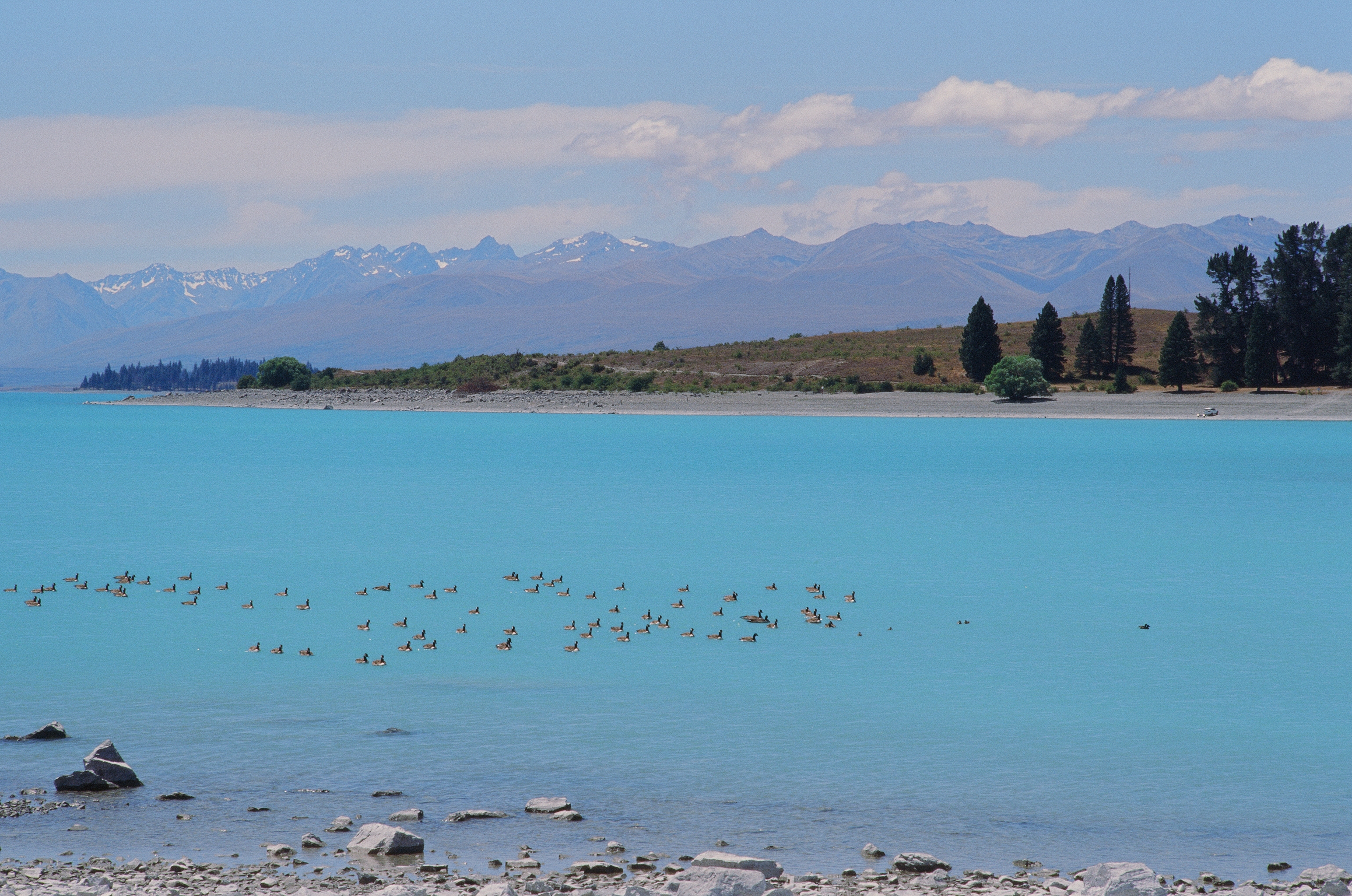 뉴질랜드-호수와-산