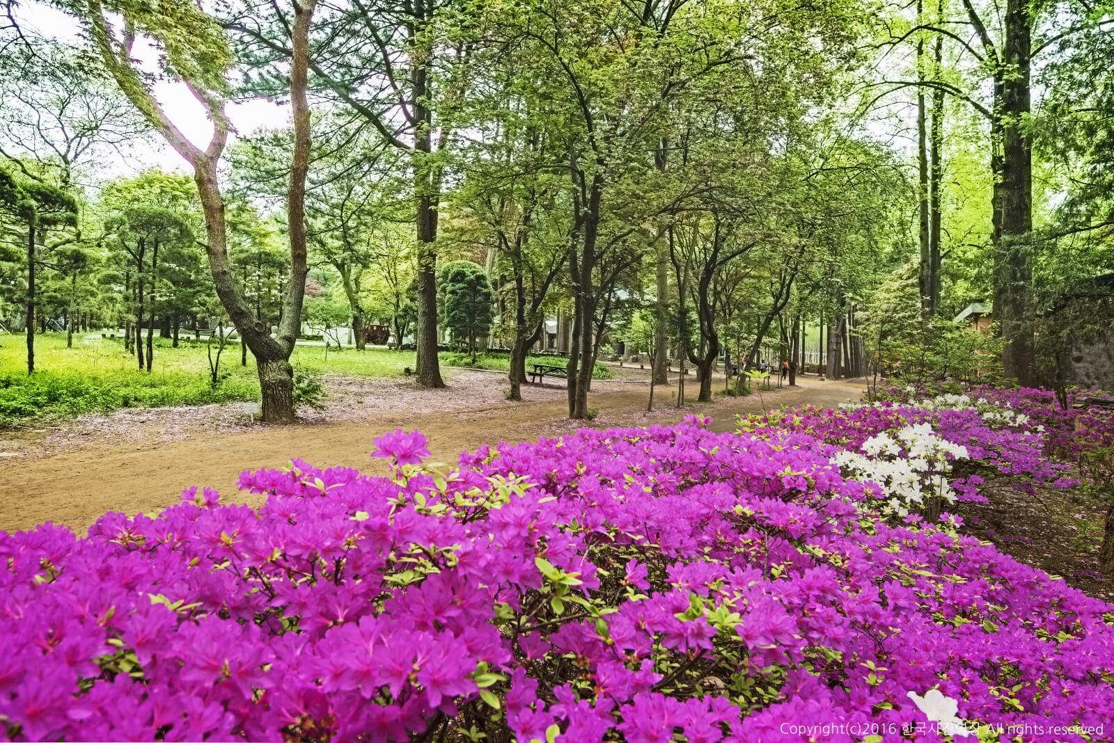 강원도 춘천 가볼만한 곳
