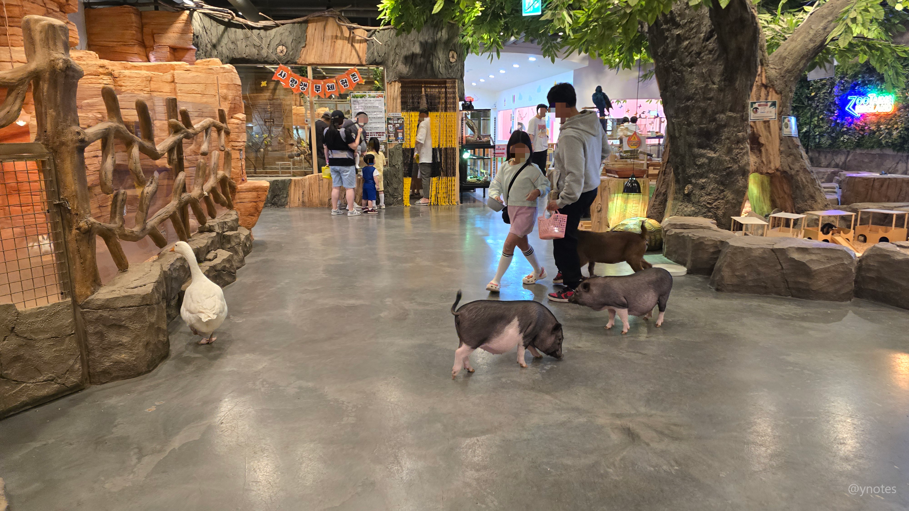 쥬뗌므 키즈랜드