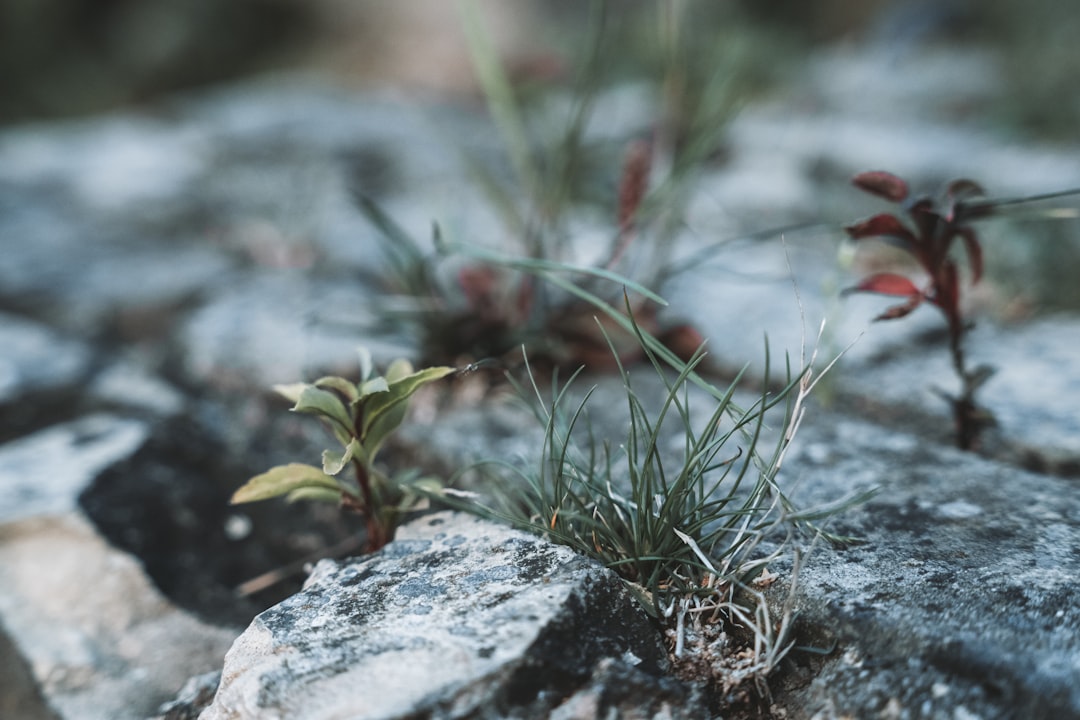 Resilience