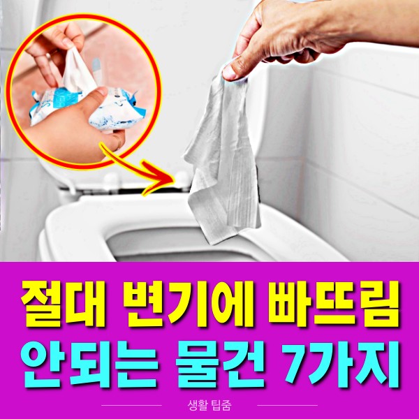 비데용 물티슈 절대 변기에 빠뜨리면 안되는 7가지,팁줌 매일꿀정보