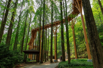 장태산 자연휴양림 숲체험2