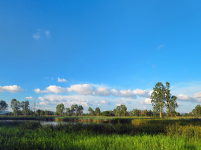 농지연금 가입조건 수령액 계산 총정리