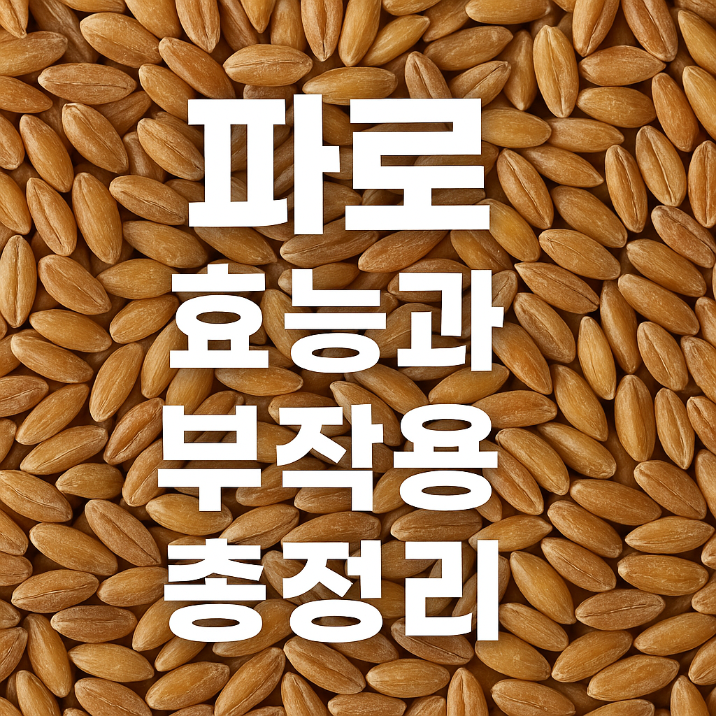 파로 효능과 부작용 총정리