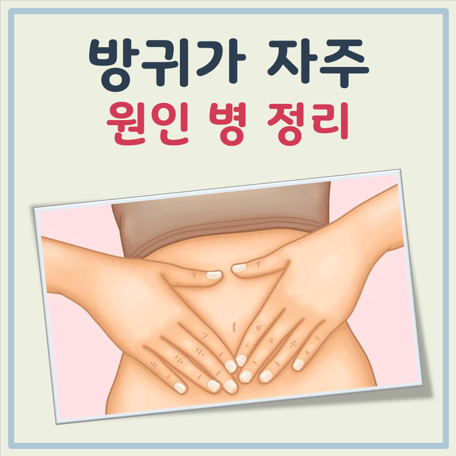 방귀가 자주 나오는 원인 병 대표 이미지