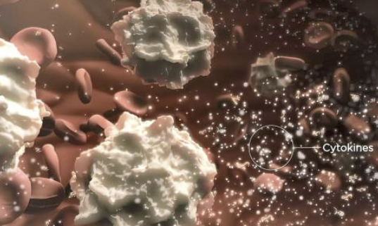 염증에 좋은 음식 6가지