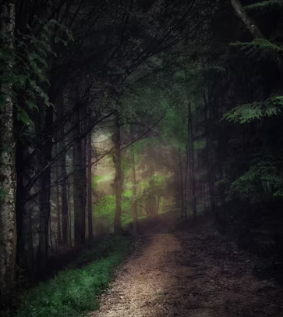 국립자연휴양림 예약통합시스템 국립자연휴양림 예약방법