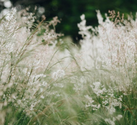 경기도 가볼만한곳 추천