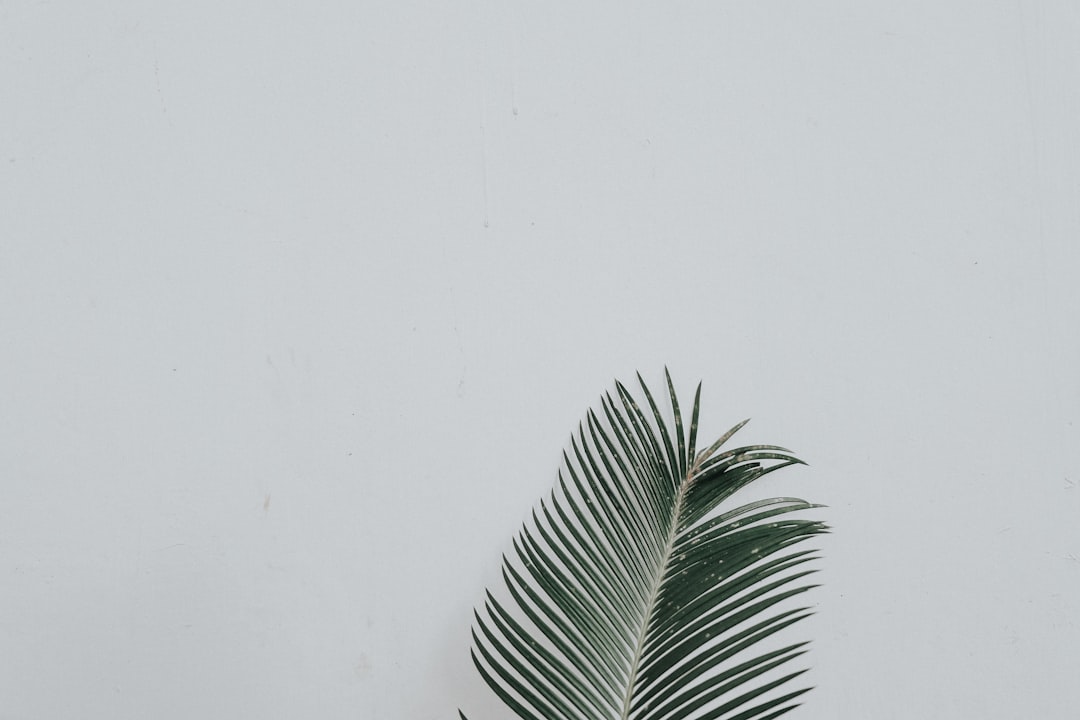 Simplicity
