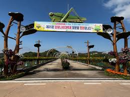 제 26회 함평나비대축제 기본정보와 프로그램 소개 박지현 지원이 박서진 김정우 코요태 육중완밴드 윤도현밴드 비스타 케이씨 허니제이&amp;홀리뱅 출연