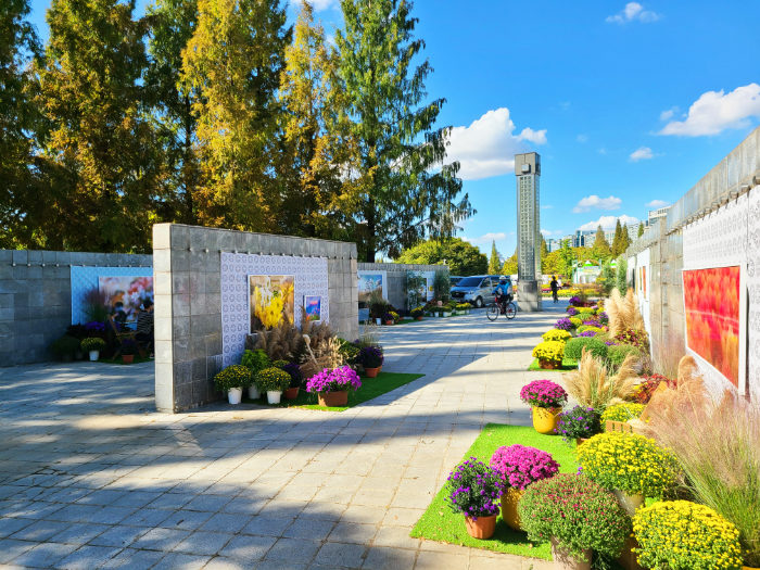 고양가을꽃축제