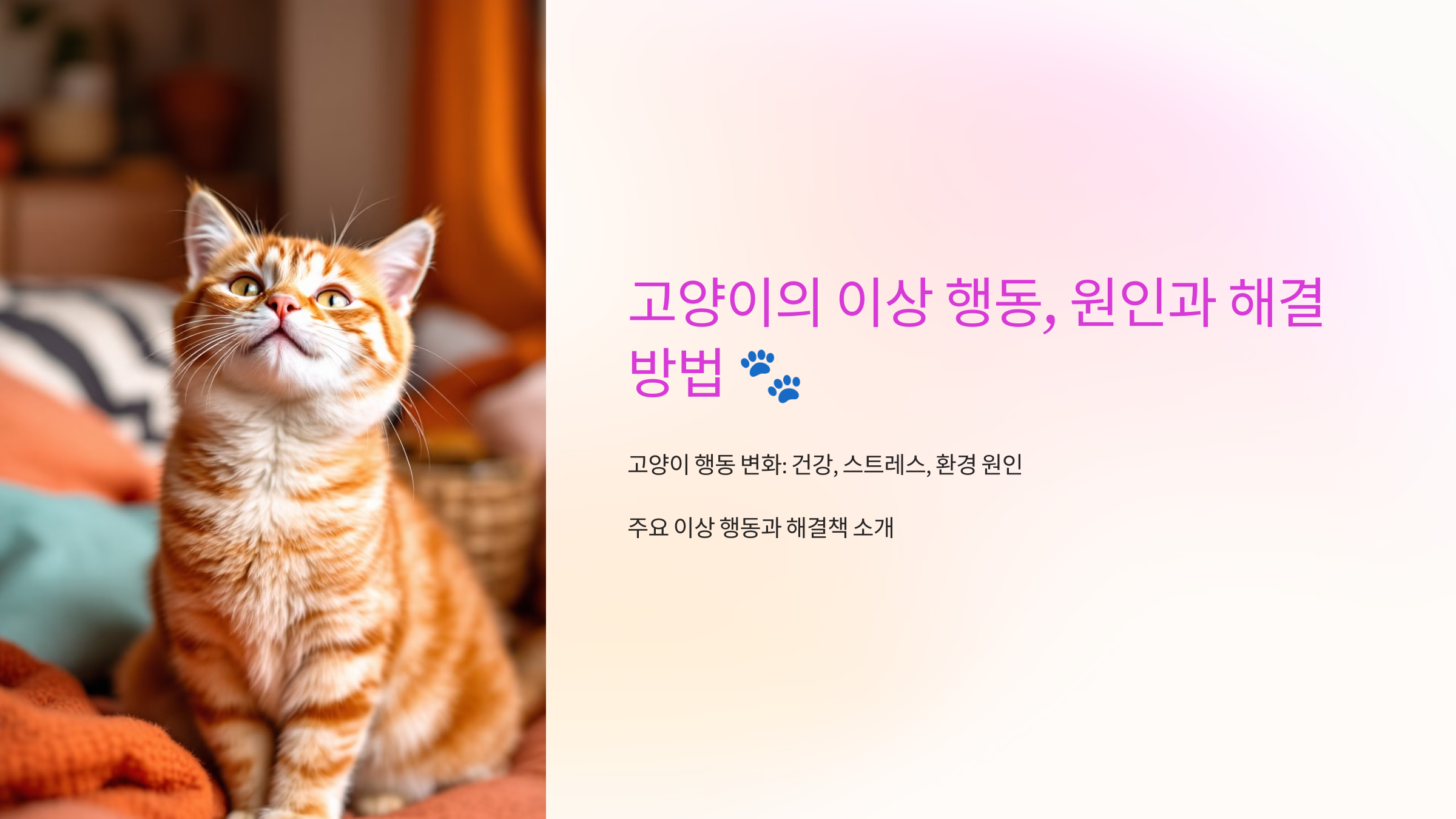 고양이의 이상 행동, 원인과 해결 방법