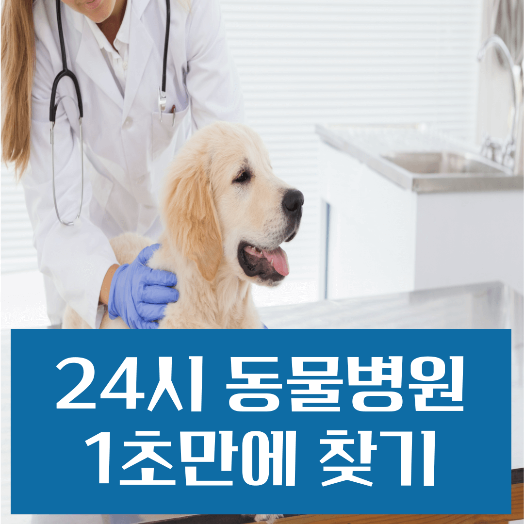 내주변 24시 동물병원 1초만에 찾는 방법