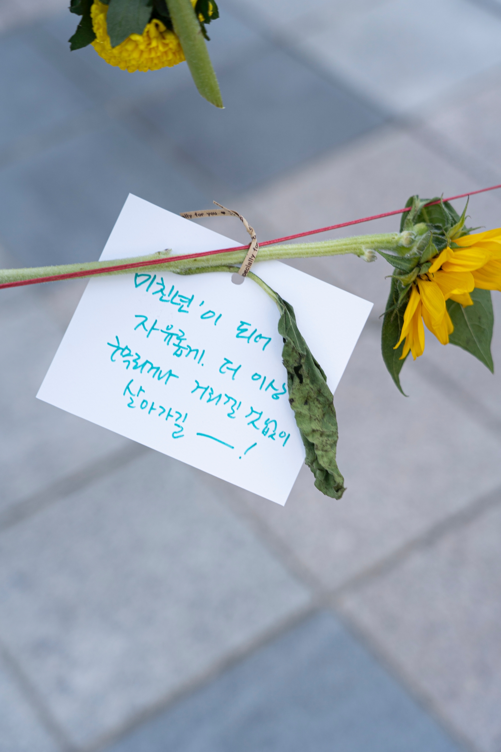 '미친년'이 되어
자유롭게. 더 이상
구속되거나 거리낄 것 없이
살아가길 ---!