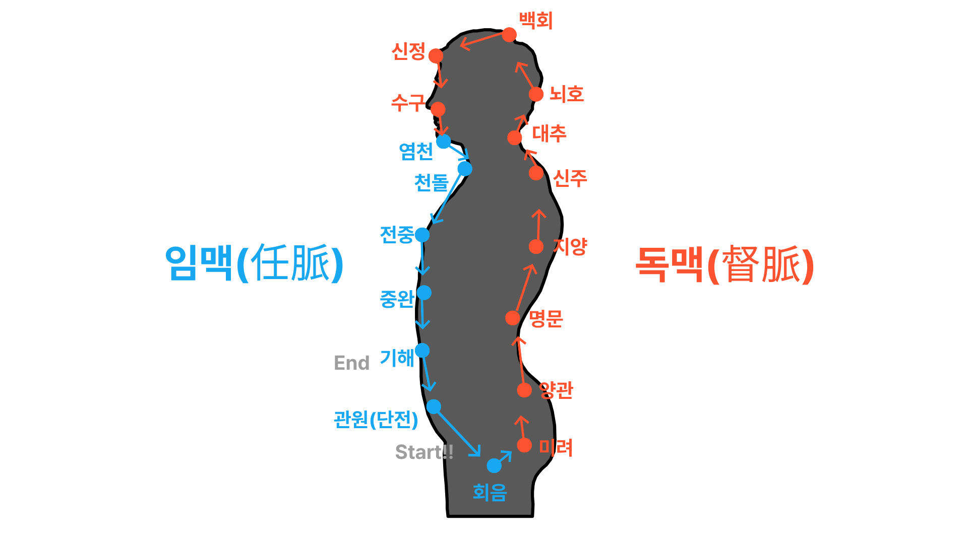 임독양맥 예시 이미지