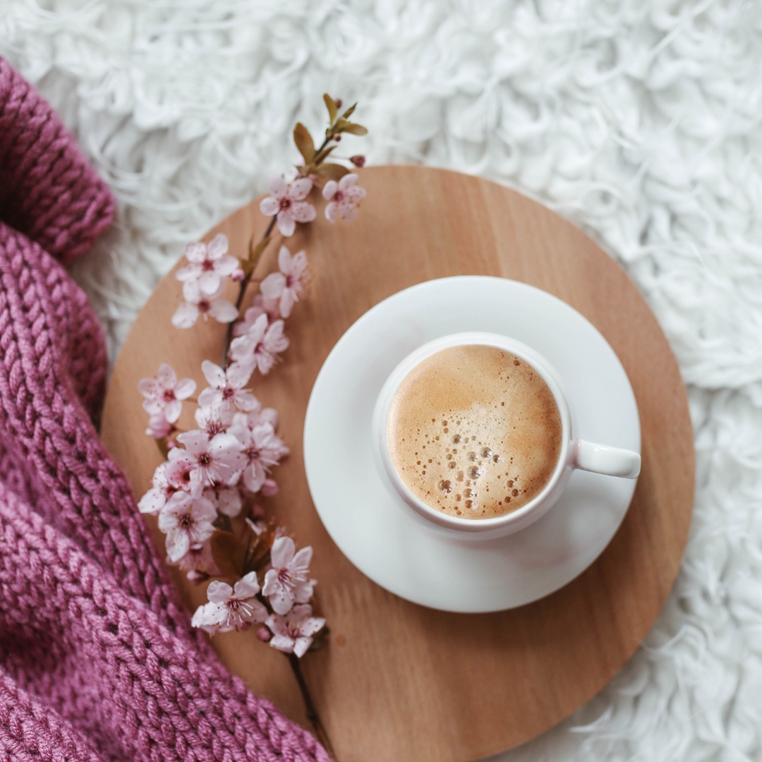 2024 전국 벚꽃축제 일정