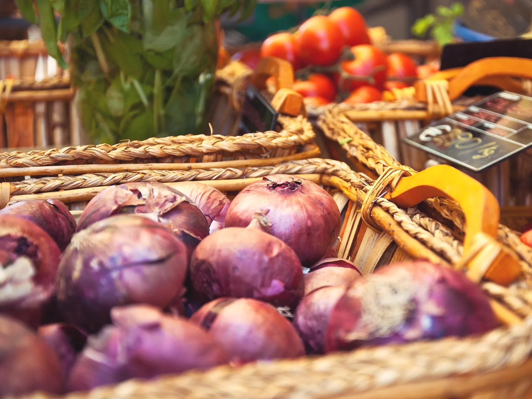 양파 인슐린 작용