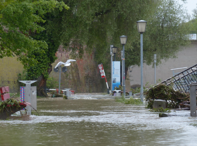 폭우피해보상 - 금융지원, 긴급생활안정자금, 납입유예, 융자연장, 카드청구유예, 채무조정까지