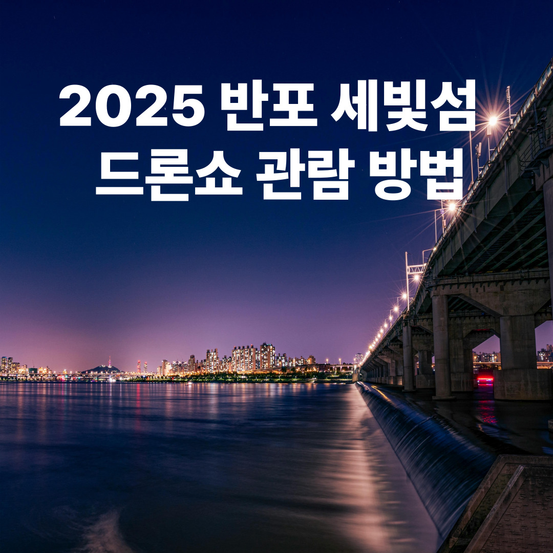 2025 반포 세빛섬 드론쇼 관람 방법